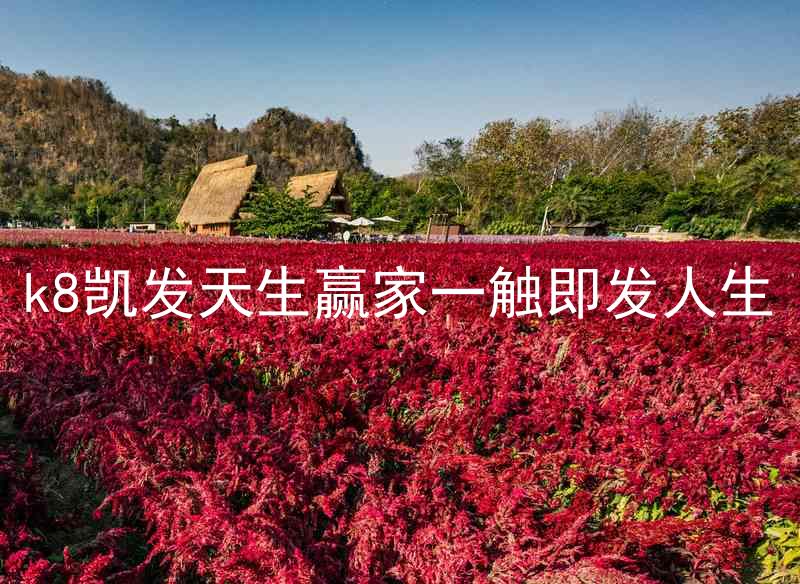k8凯发天生赢家一触即发人生